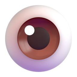Eye